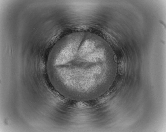 X0000096220608200802011345