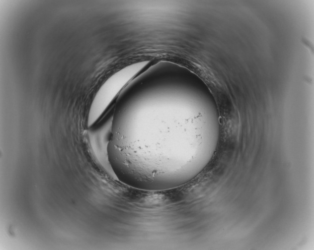 X0000096220609200802011345