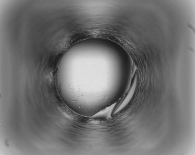 X0000096220611200802011345