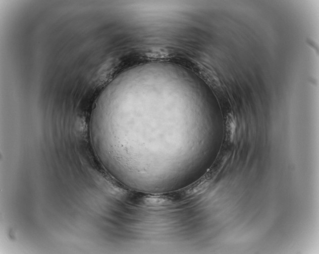 X0000096220614200802011345