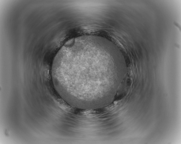 X0000096220615200802011345