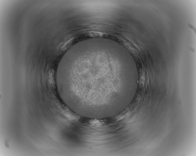 X0000096220616200802011345