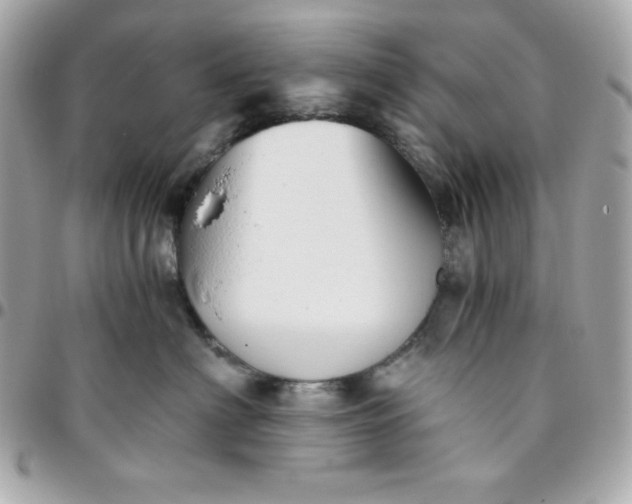 X0000096220622200802011344