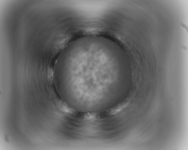 X0000096220624200802011344