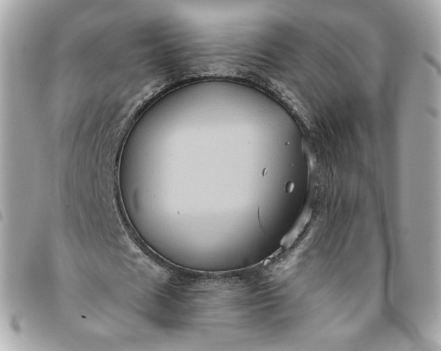 X0000096220625200802011344