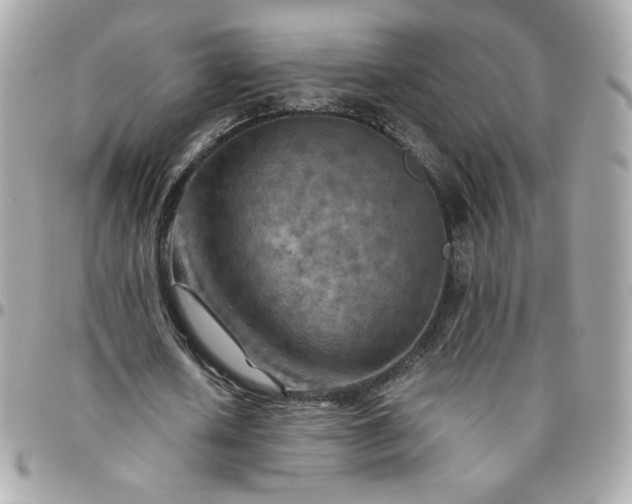 X0000096220626200802011344