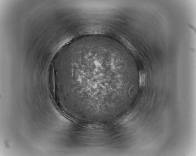 X0000096220627200802011344