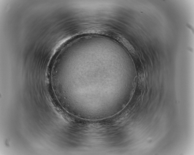 X0000096220628200802011344