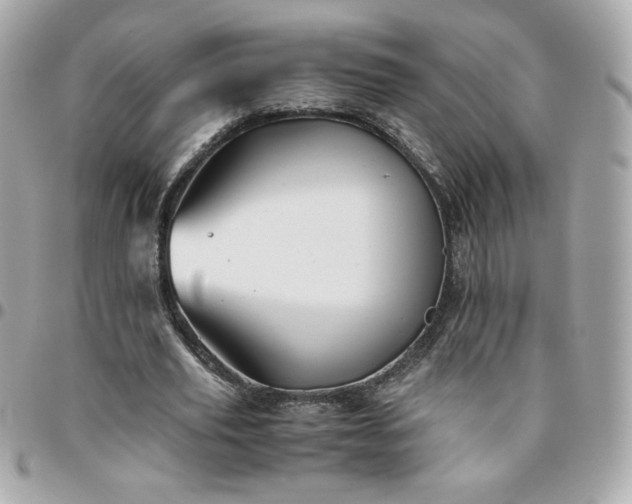 X0000096220629200802011344