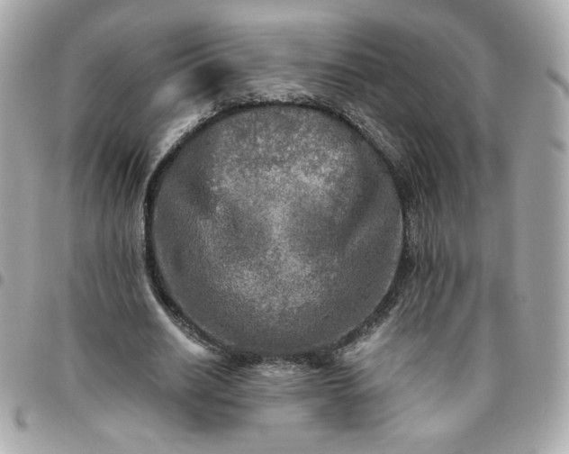 X0000096220630200802011344