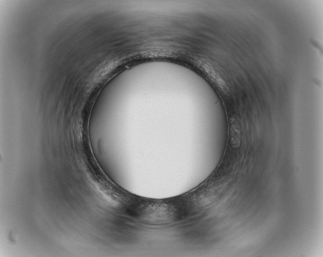 X0000096220631200802011344