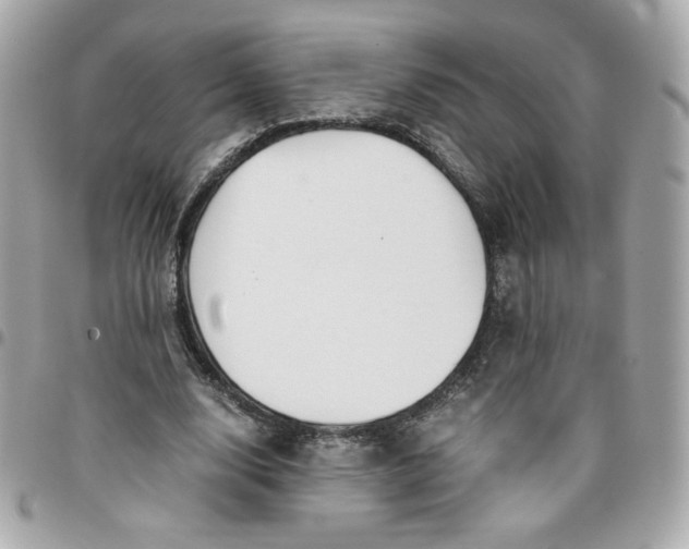 X0000096220632200802011344