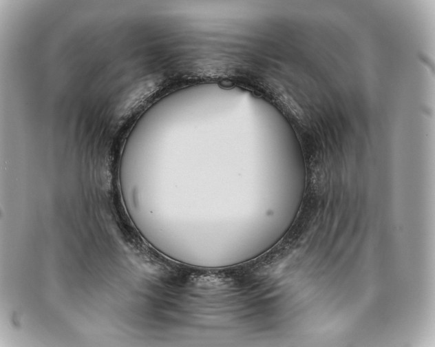 X0000096220635200802011344