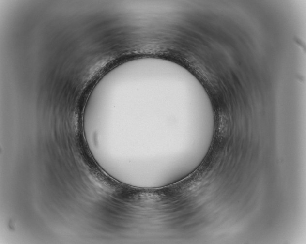 X0000096220636200802011344