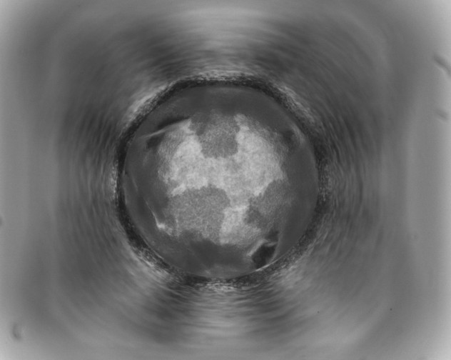 X0000096220640200802011344