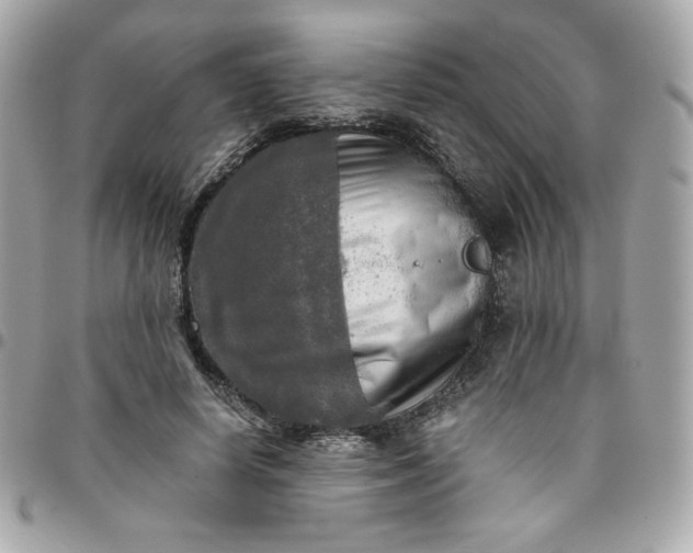 X0000096220642200802011344