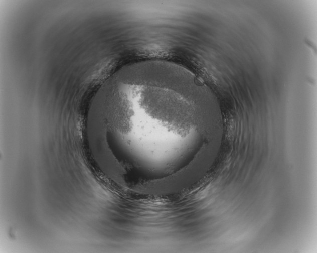 X0000096220643200802011344