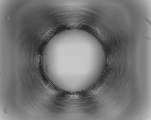 X0000096220645200802011344