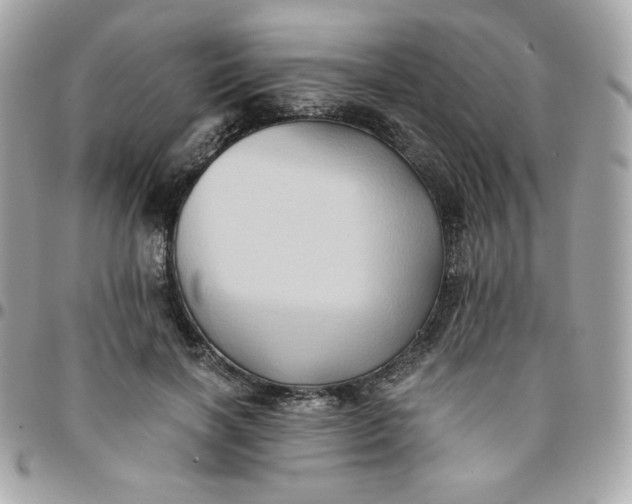 X0000096220646200802011344