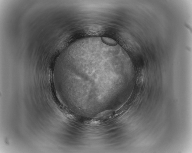 X0000096220647200802011344