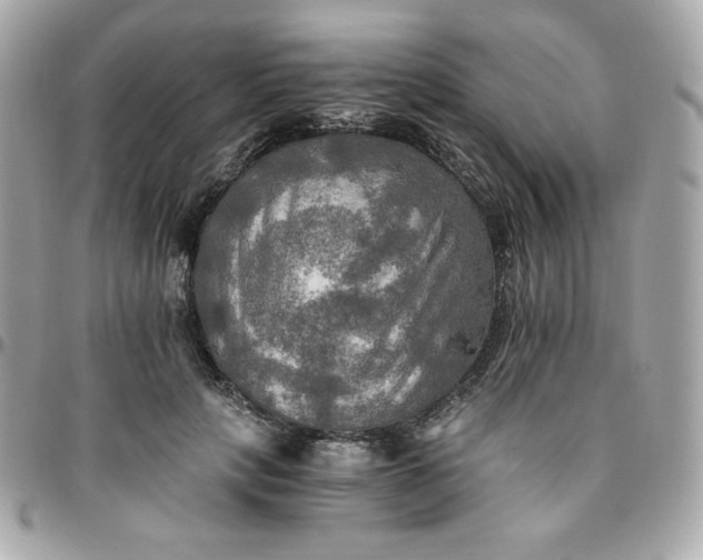 X0000096220649200802011344