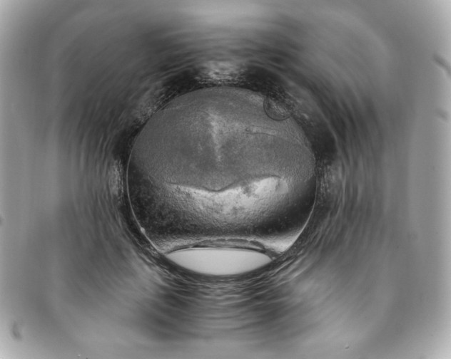 X0000096220651200802011344