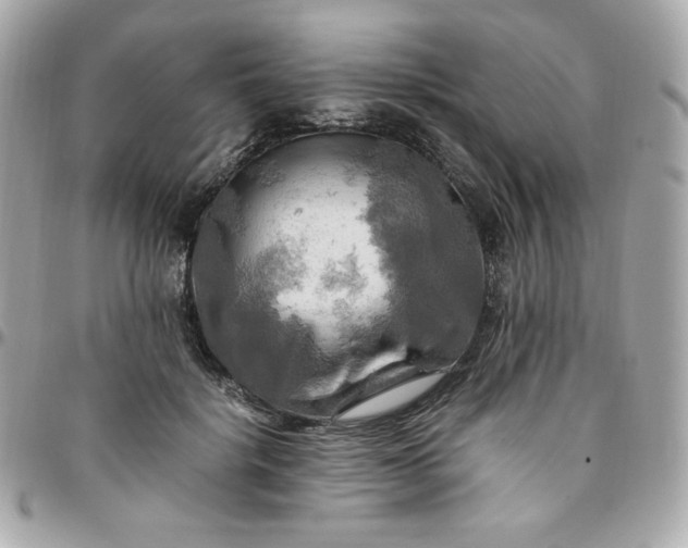 X0000096220652200802011344