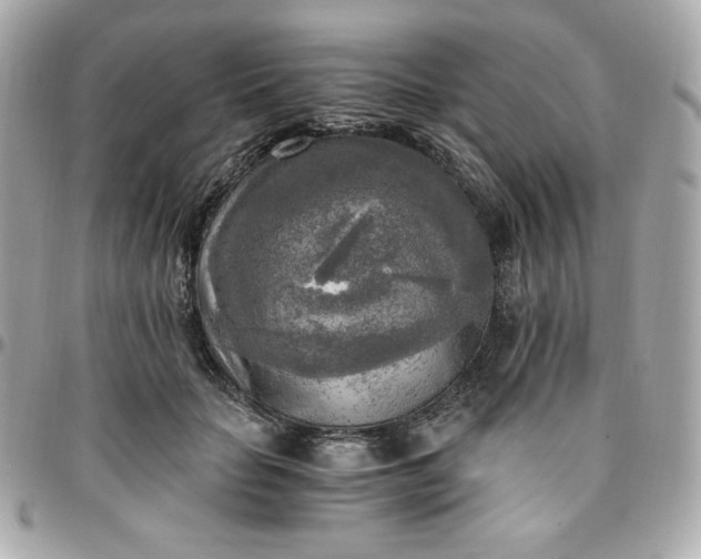 X0000096220653200802011344