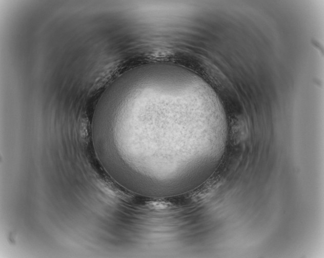 X0000096220654200802011344