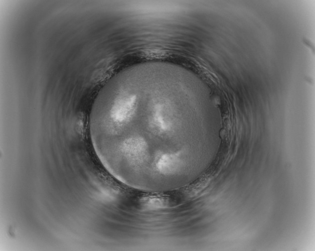 X0000096220655200802011344