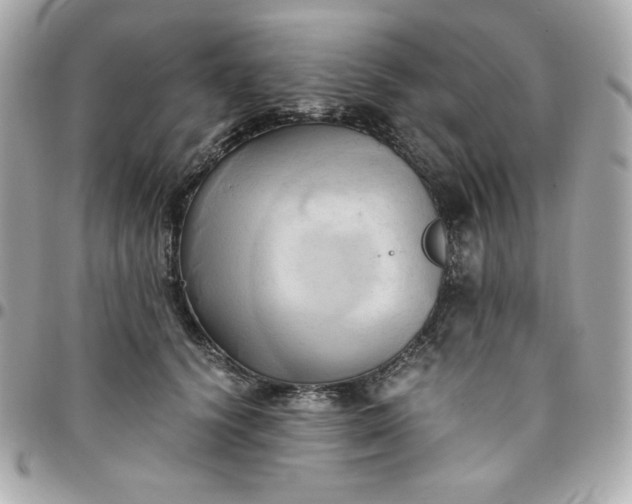 X0000096220656200802011344