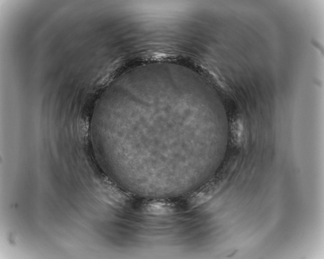 X0000096220657200802011344