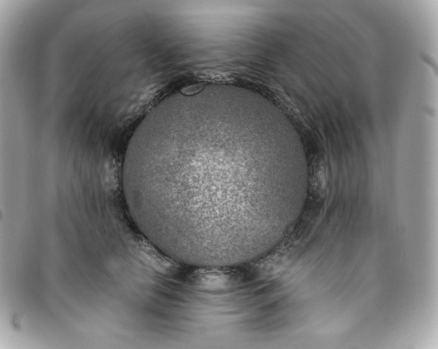 X0000096220658200802011344