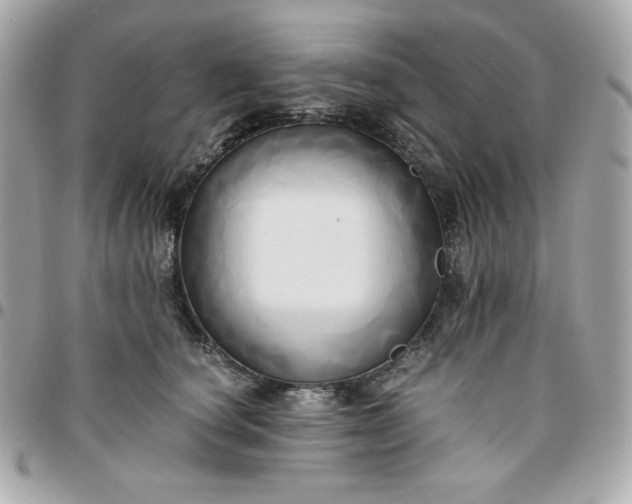 X0000096220660200802011344