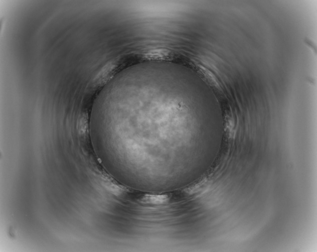 X0000096220665200802011344