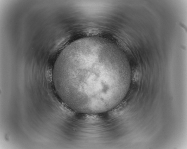 X0000096220666200802011344