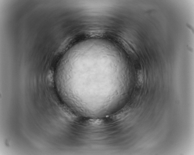 X0000096220667200802011344