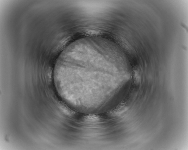 X0000096220668200802011344