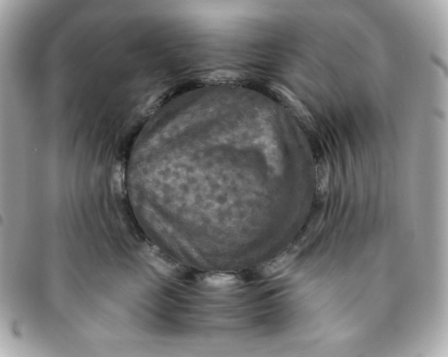 X0000096220669200802011344