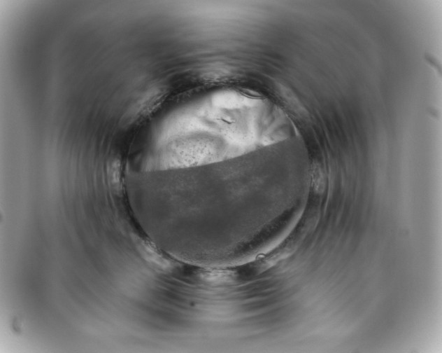 X0000096220670200802011344