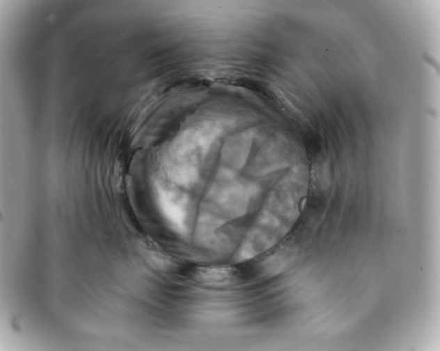 X0000096220671200802011344