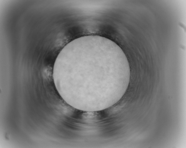 X0000096220672200802011344