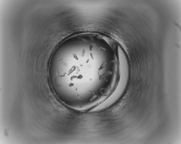 X0000096220673200802011344