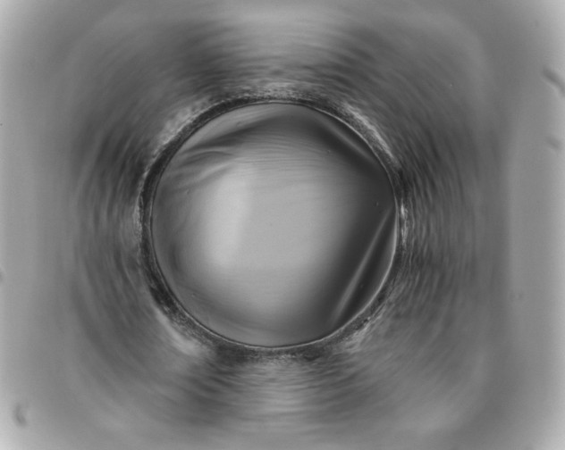 X0000096220674200802011344