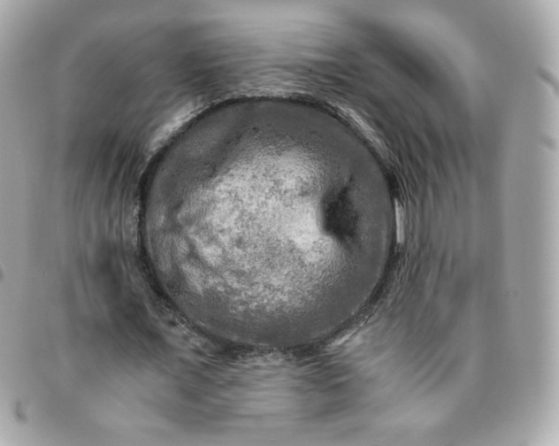 X0000096220675200802011344