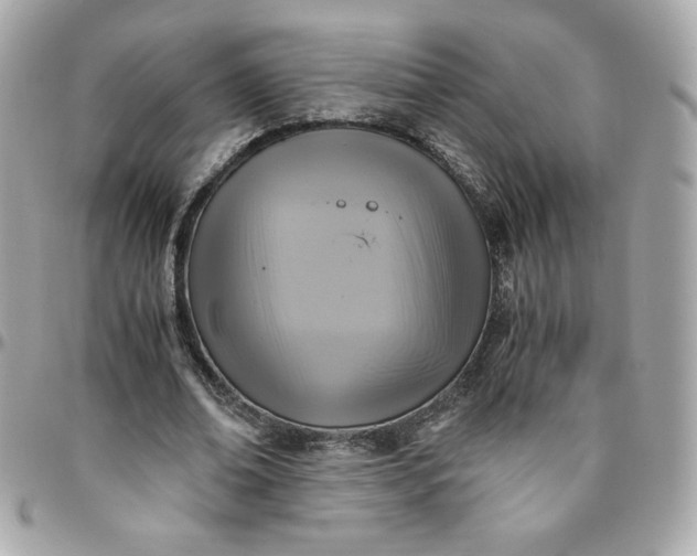 X0000096220678200802011344