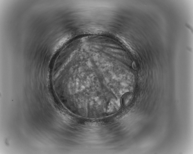 X0000096220679200802011344