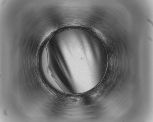 X0000096220680200802011344