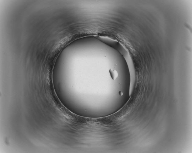 X0000096220681200802011344