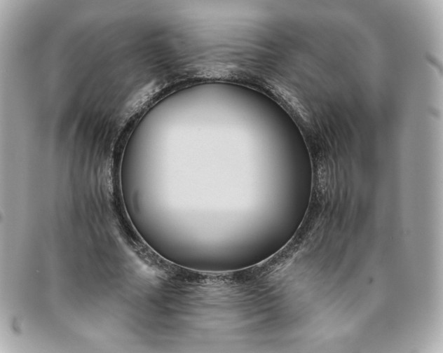 X0000096220682200802011344